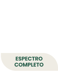 Espectro