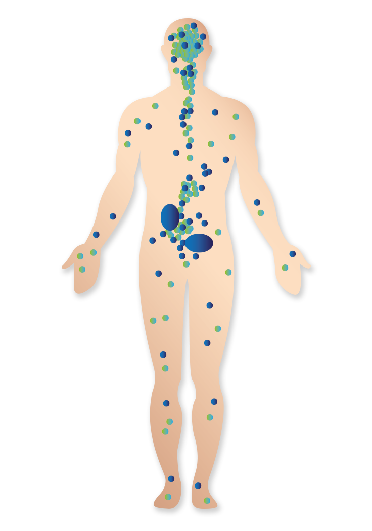 Sistema Endocanabinoide
